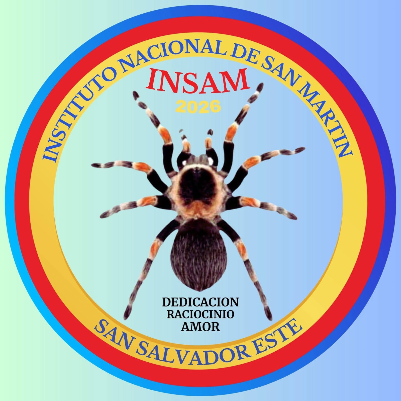 Logo INSAM